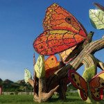 Las mariposas gigantes marcan la identidad de Villa Club