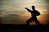 Lecciones de Kung Fu en Estelar de Villa Club